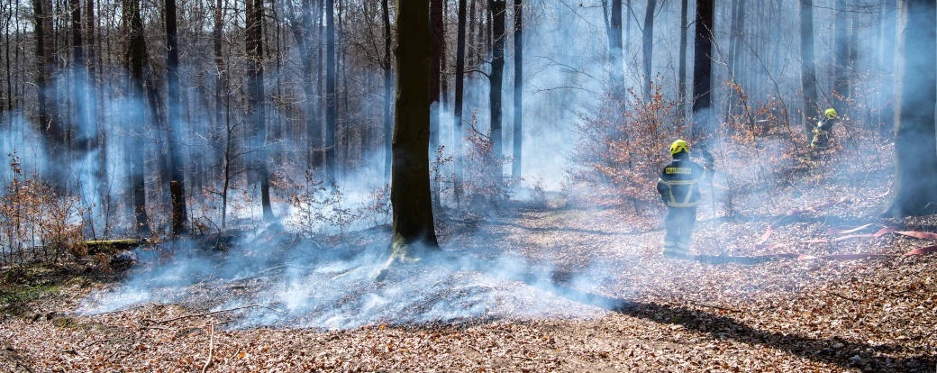 Waldbrand Titelbild